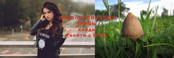 2c-b Покров