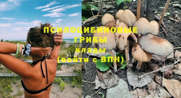 гашиш Абаза