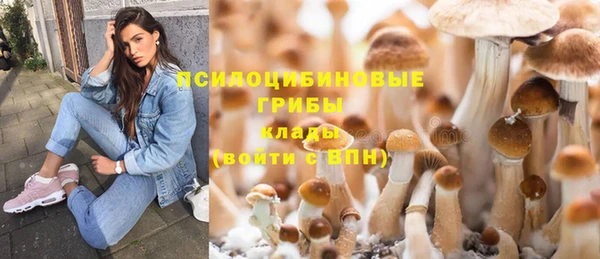 гашиш Абаза