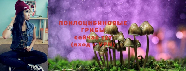 гашиш Абаза