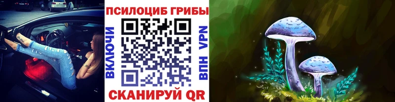MEGA сайт  Болотное  Галлюциногенные грибы Magic Shrooms 
